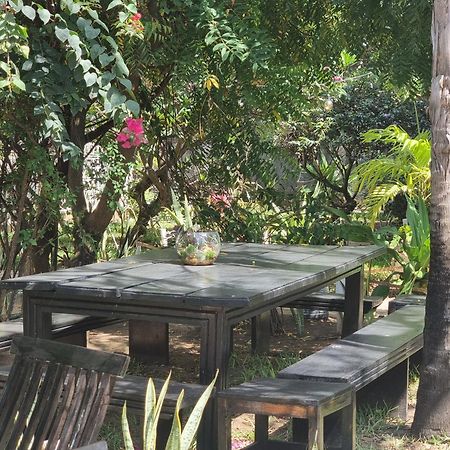 Tulia House Backpackers Pansiyon Mombasa Dış mekan fotoğraf