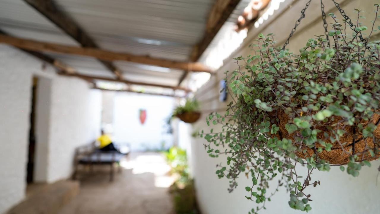 Tulia House Backpackers Pansiyon Mombasa Dış mekan fotoğraf