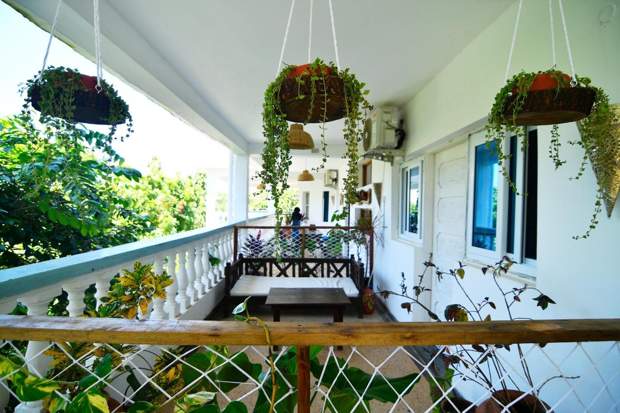 Tulia House Backpackers Pansiyon Mombasa Dış mekan fotoğraf